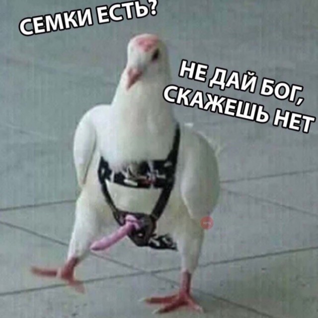 Всякое из этих ваших интернетов