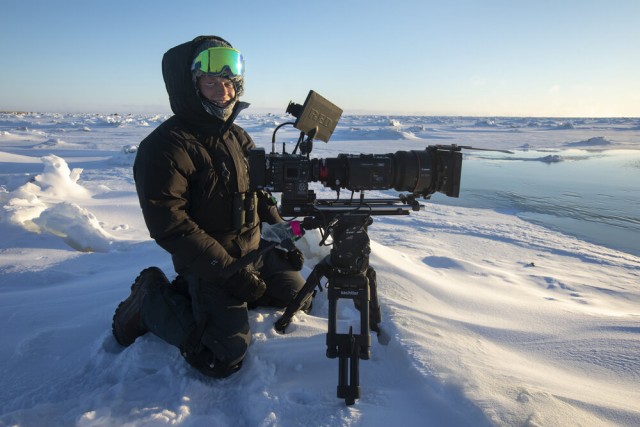 Голодный мишка и консерва, (BBC cameraman)