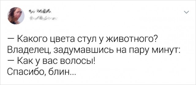 Несколько случаев из практики ветеринаров, в чьих руках — тысячи крохотных жизней