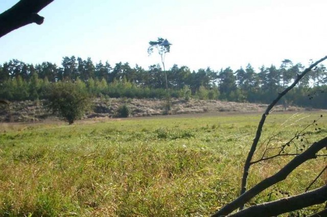 В Польше сфотографировали НЛО в высоком качестве