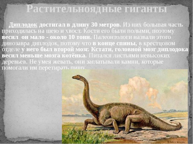 32 шага без головы