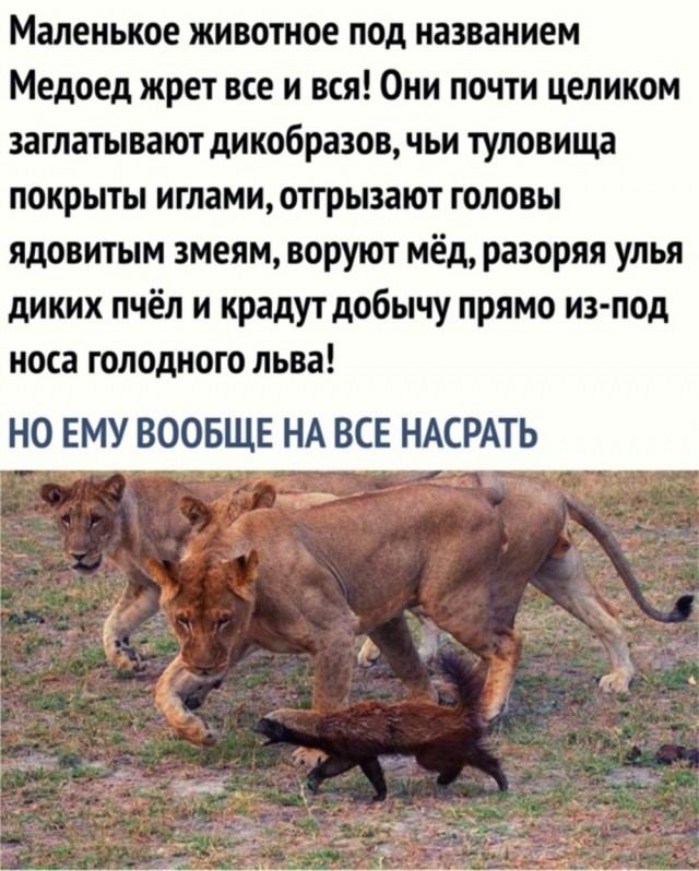 С миру по нитке 11.12 пятница