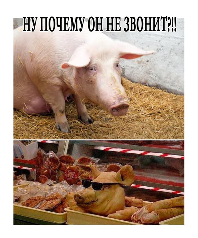 Картинки и мемы для настроения 003