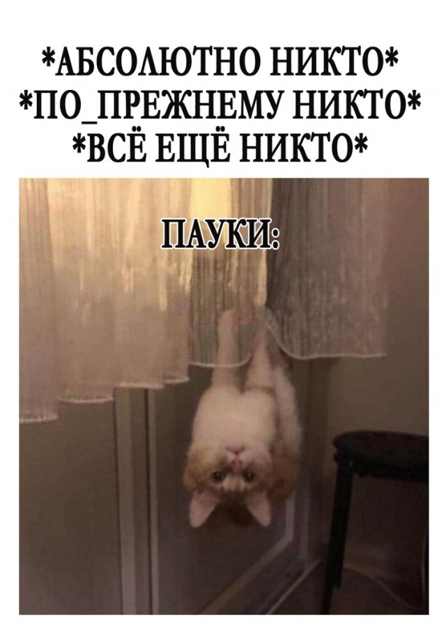Так себе картинки 04.02.21
