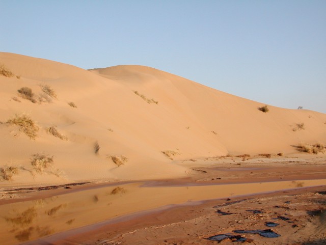 Красота пустыни
