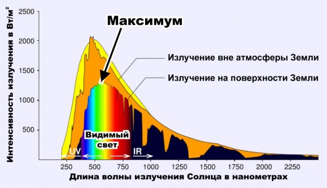 25 популярных заблуждений, которые вам внушали всю жизнь