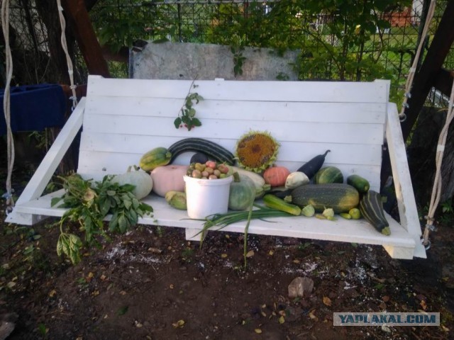 Дача (Хвастаемся). Не продаётся. Просто показываю. Красивое! Вспомним лето перед зимой