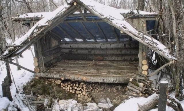 Можно ли выжить в Сибирской тайге?