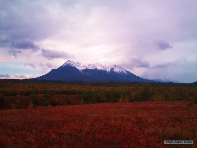 Камчатские красоты