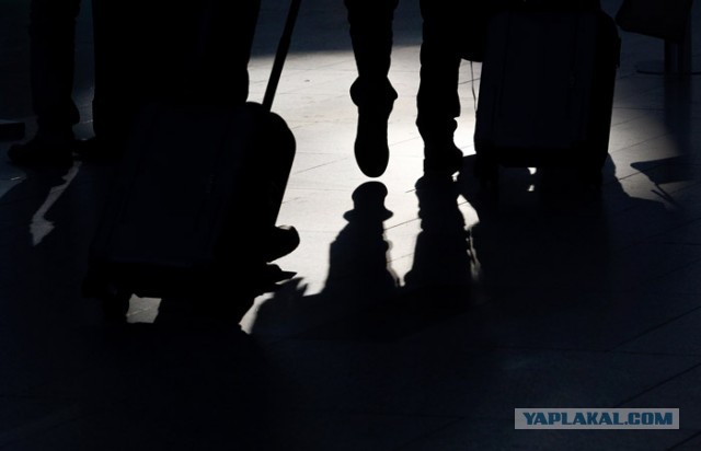 РАЭК спрогнозировала отъезд из РФ до 100 тысяч IT-специалистов в апреле