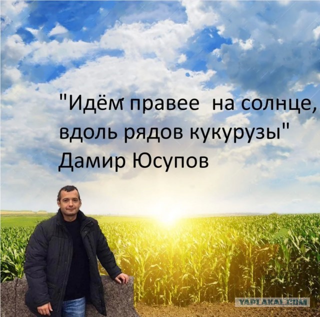 Посадка без одного крыла и с оторванной крышей. Топ опасных и странных авиаинцидентов с минимальными жертвами