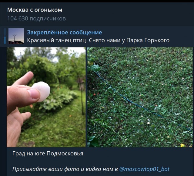 Пандемия съехавших крыш - разновидности болезни. Россия и мир. Часть 37