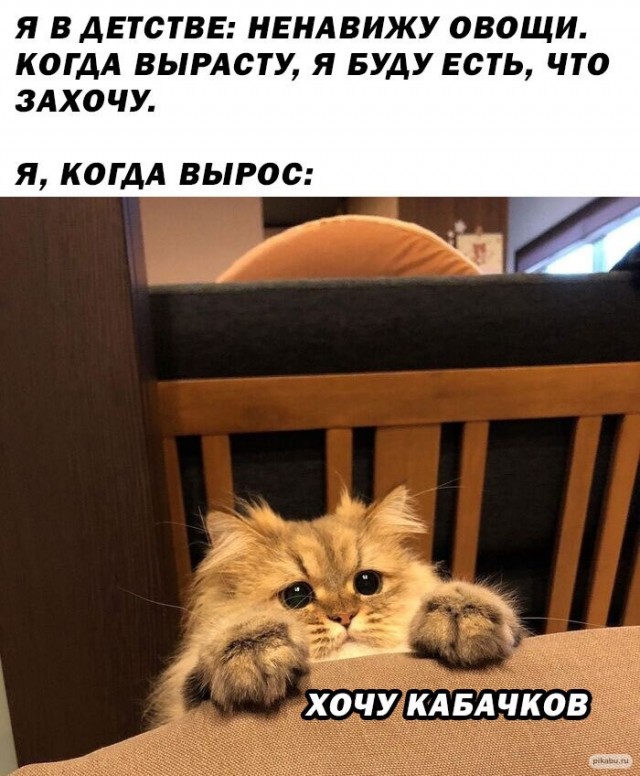 Картинки и мемы для настроения - 15