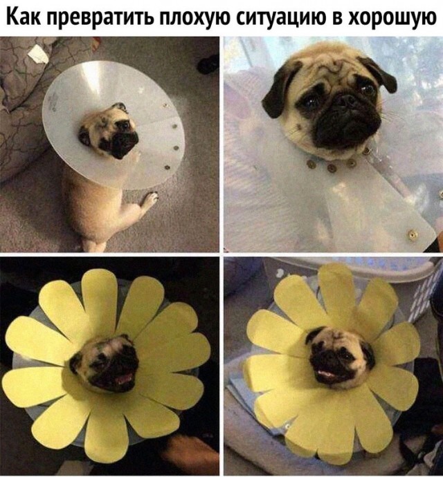 Картинки и мемы для настроения - 19