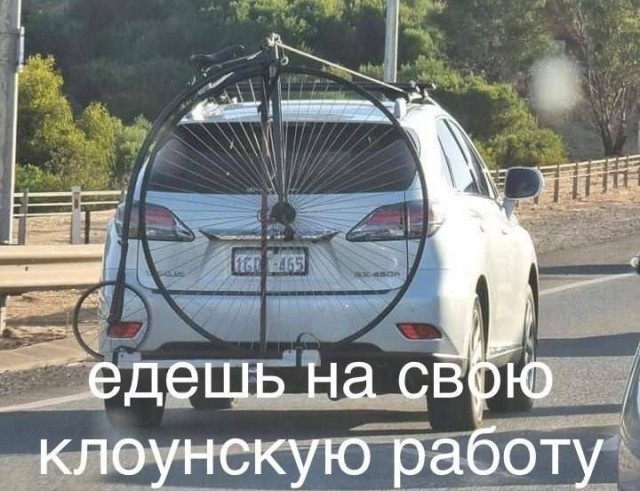 Так себе картинки 26.07.22