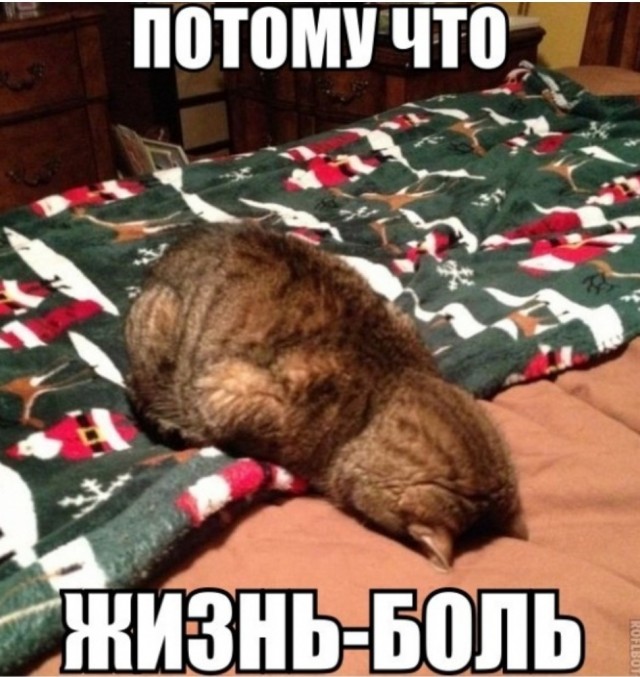 Должна ли жена иметь приданое?