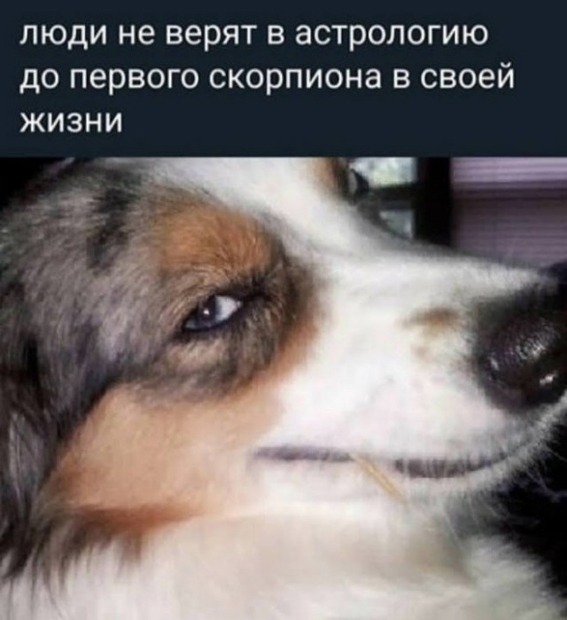 Немного картинок для настроения - 112