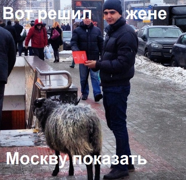 Жителю Дагестана не понравился внешний вид туристки и понеслось…