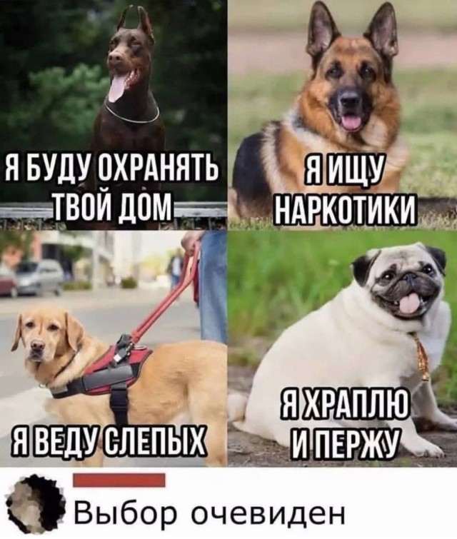Картинки аморальные и всякие разные - 41