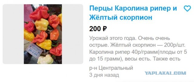 Батин суп. Теперь - в банках