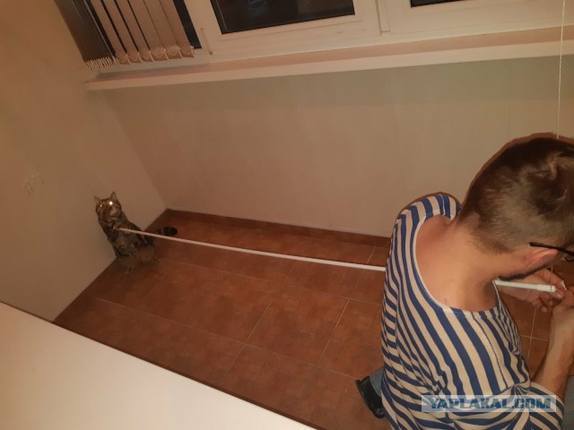 - Подтяни! - Щя!