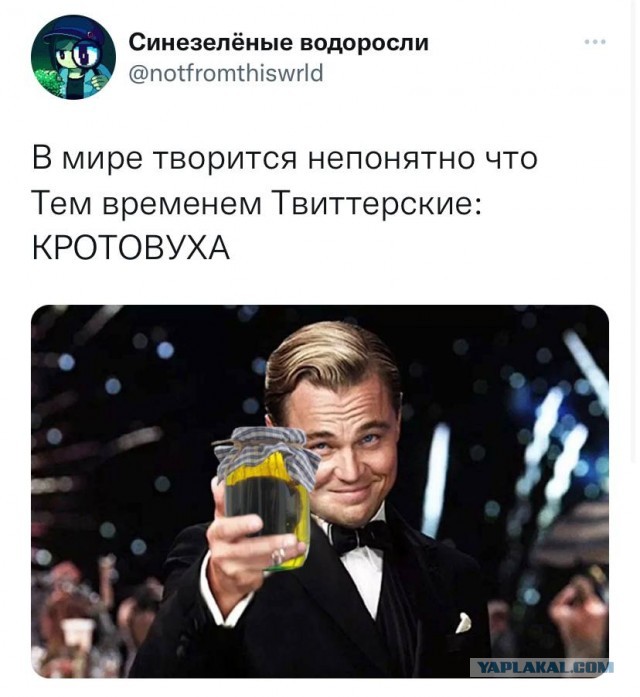 Роспотребнадзор предупредил об опасности употребления кротовухи