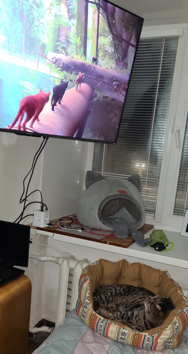 Доброе утро, ЯП
