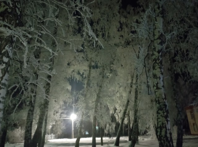Одно зимнее фото