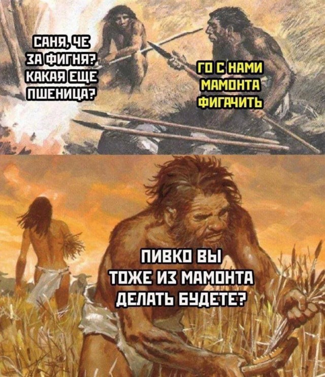 История трюфеля: как гриб, похожий на кусок грязи, стал синонимом элитной гастрономии