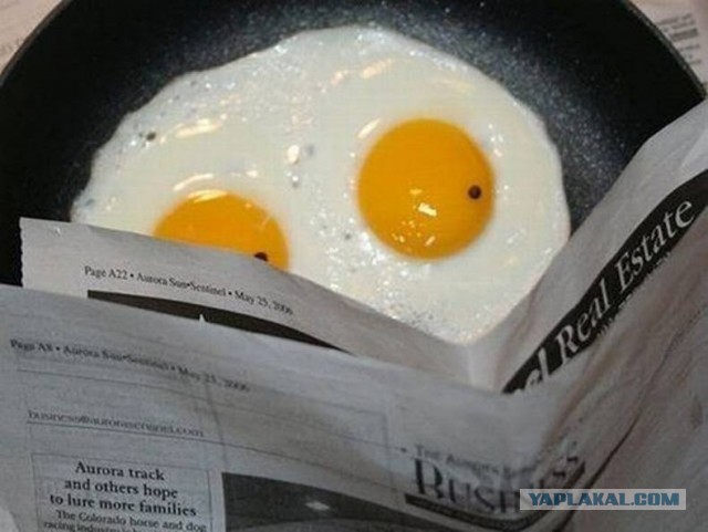 В мире животных