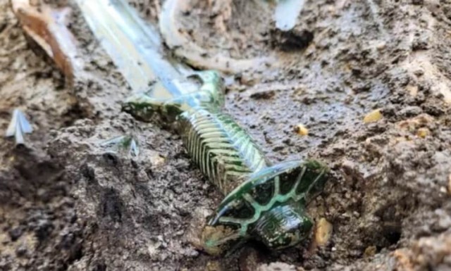 В Германии найден 3000-летний меч в идеальном состоянии