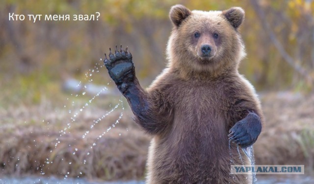 Секс без обязательств НА САМОМ ДЕЛЕ