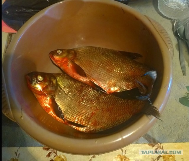 Ценность женщины глазами мужчины
