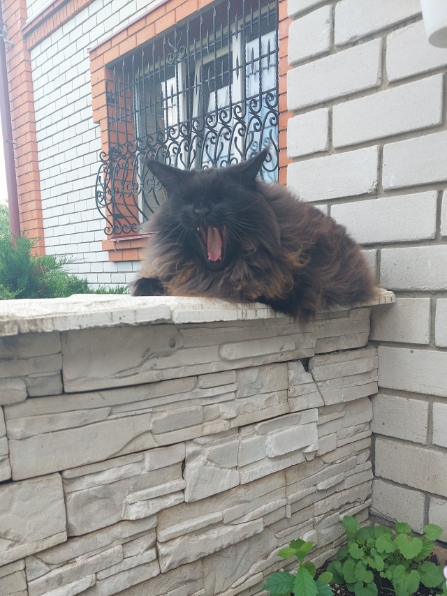 Жизнь после развода