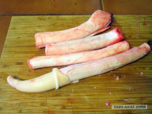 Химия и жизнь