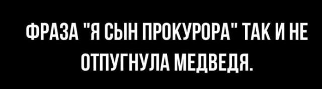 Всего понемногу. От 15.12.23