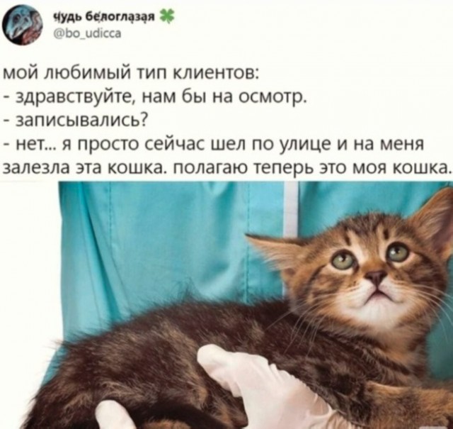Тупые старые картинки