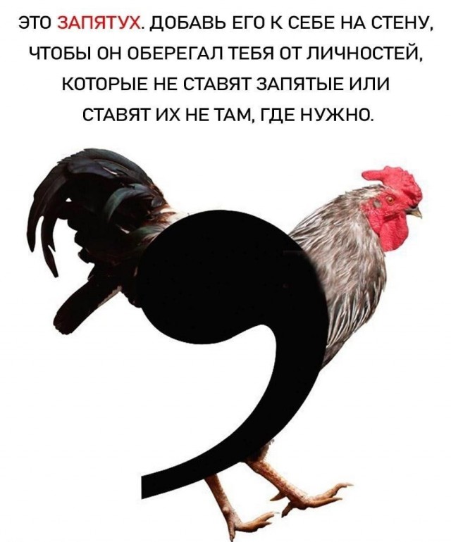 Подарить запятые