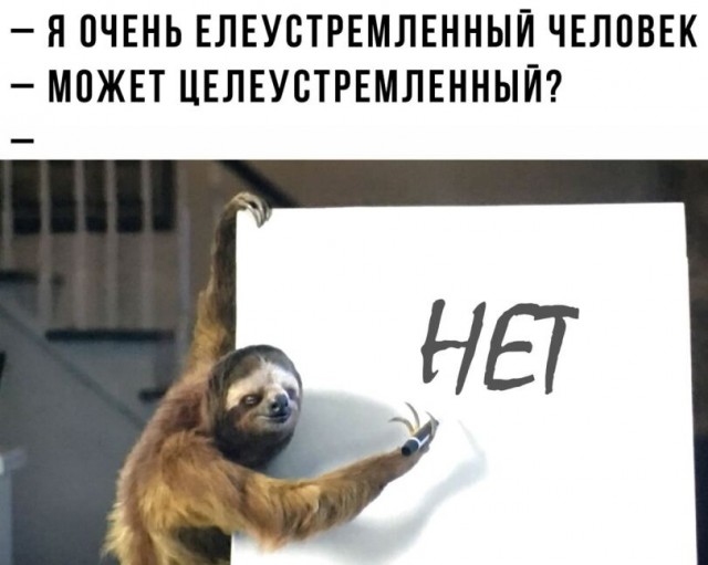 Юмор в картинках и без