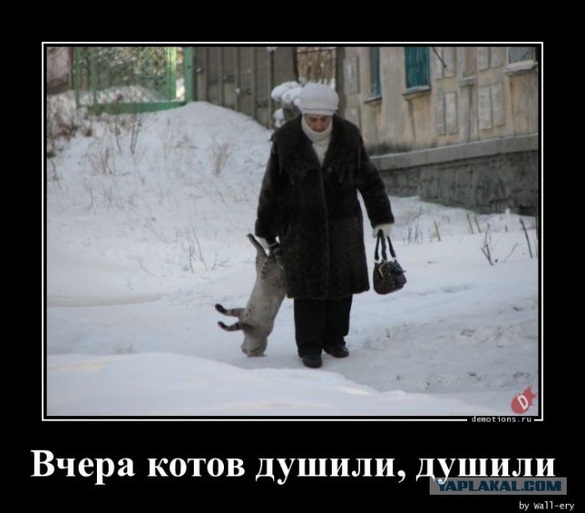 Погладил