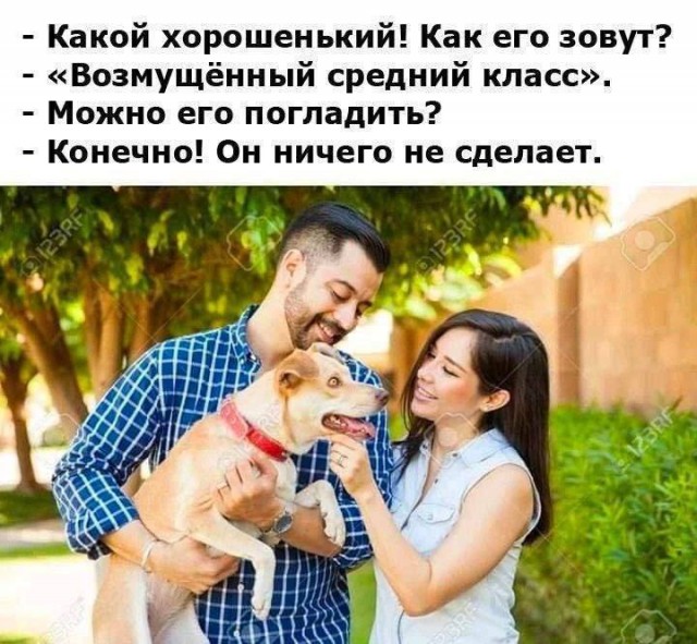 В Великобритании имам анонсировал планы на будущее