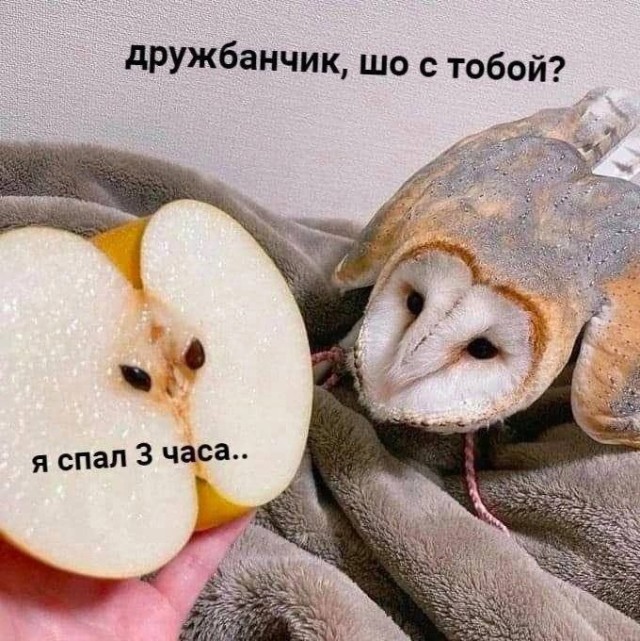 Картинки для деградации 93 (разной степени свежести)
