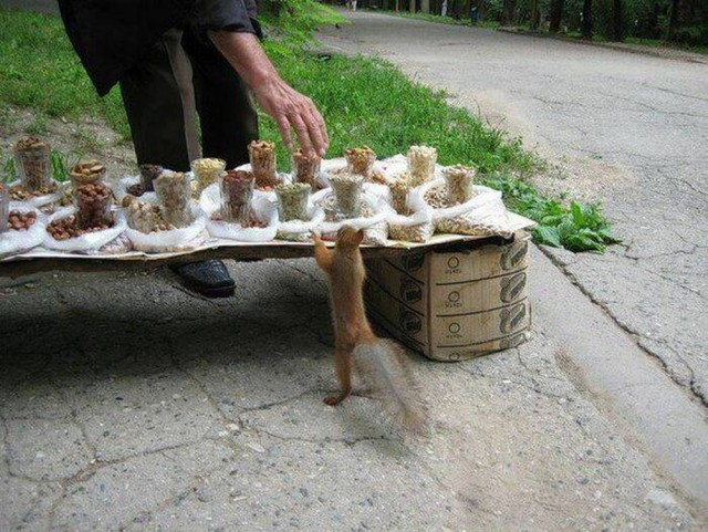 *зачёркнуто*