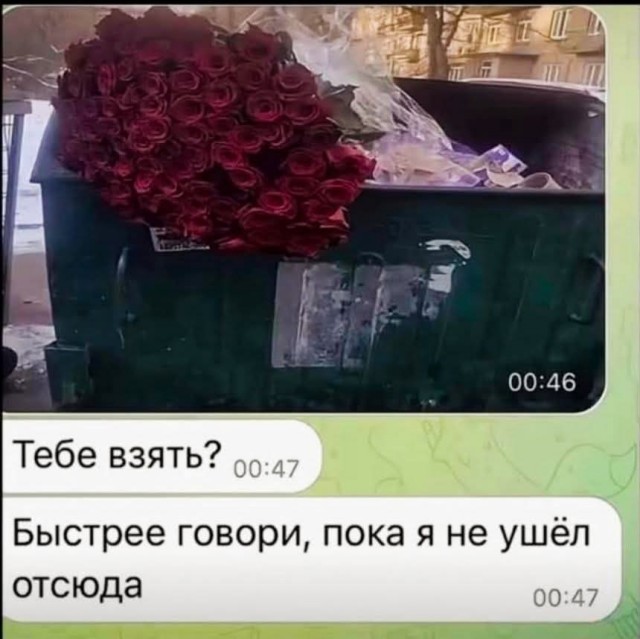 Веселые картинки в пятницу (06.03)