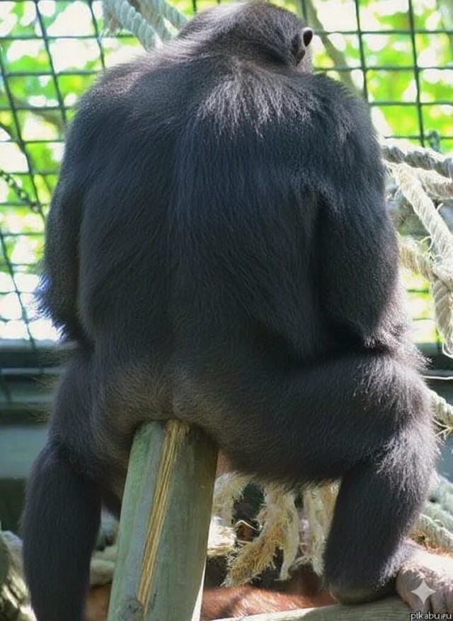 Юма делает моду