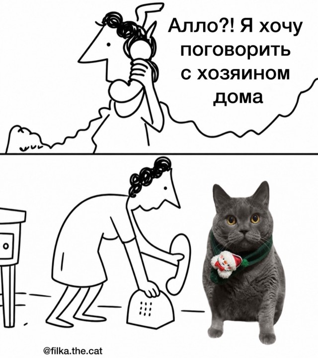 Деградация