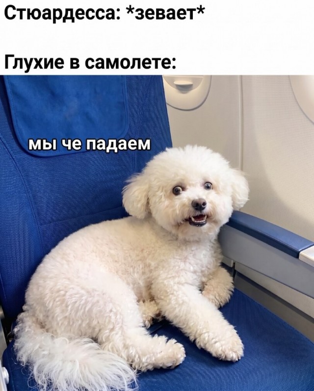 Картинки для деградации 247 (разной степени свежести)