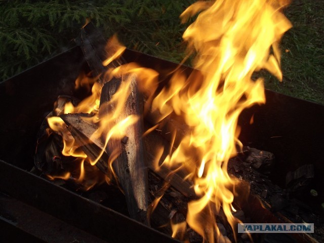 Одна поездка на озеро