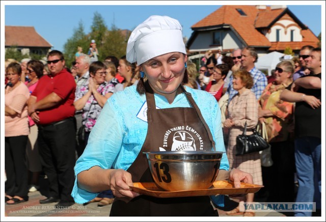 Международный чемпионат ухи 2013