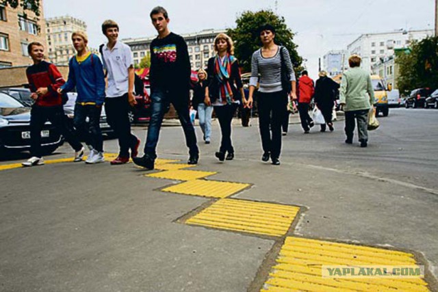 Золотые собаки